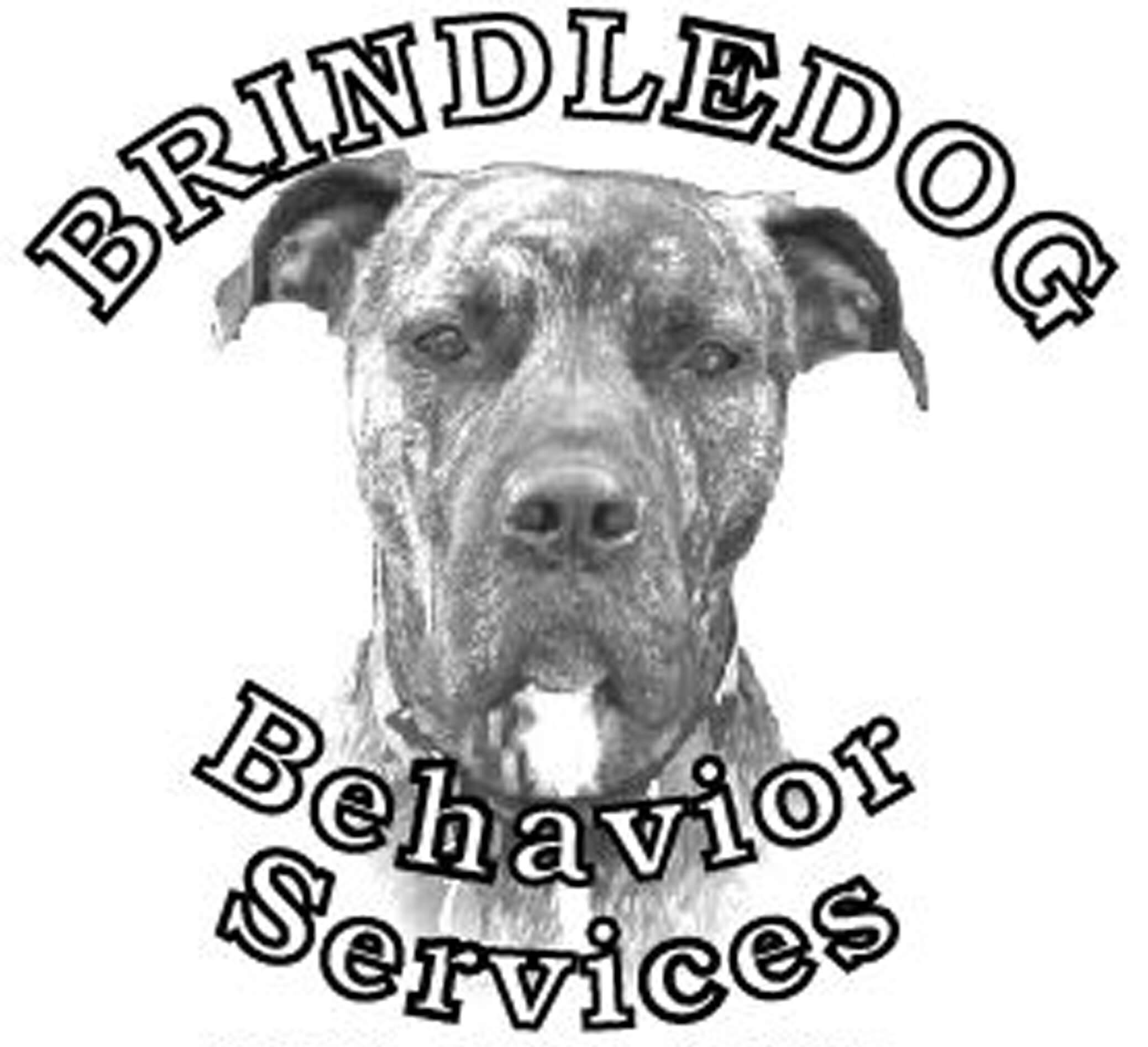 Winner small image - Brindledog Behavior Services